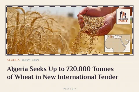 Algeria Seeks Up to 720,000 Tonnes of Wheat in New International Tender