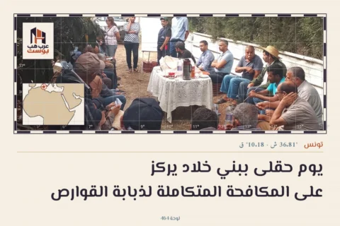 يوم حقلى ببني خلاد يركز على المكافحة المتكاملة لذبابة القوارص