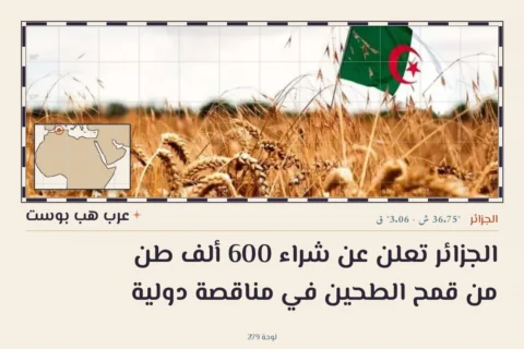 الجزائر تعلن عن شراء 600 ألف طن من قمح الطحين في مناقصة دولية
