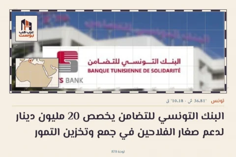البنك التونسي للتضامن يخصص 20 مليون دينار لدعم صغار الفلاحين في جمع وتخزين التمور