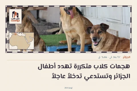 هجمات كلاب متكررة تهدد أطفال الجزائر وتستدعي تدخلاً عاجلاً