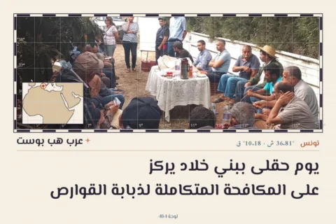 يوم حقلى ببني خلاد يركز على المكافحة المتكاملة لذبابة القوارص