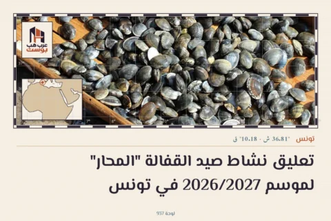 تعليق نشاط صيد القفالة "المحار" لموسم 2026/2027 في تونس