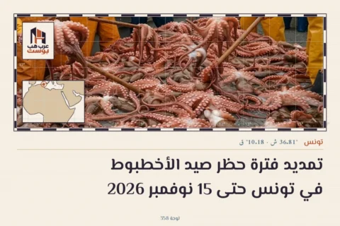 تمديد فترة حظر صيد الأخطبوط في تونس حتى 15 نوفمبر 2026