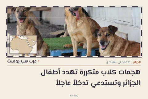 هجمات كلاب متكررة تهدد أطفال الجزائر وتستدعي تدخلاً عاجلاً