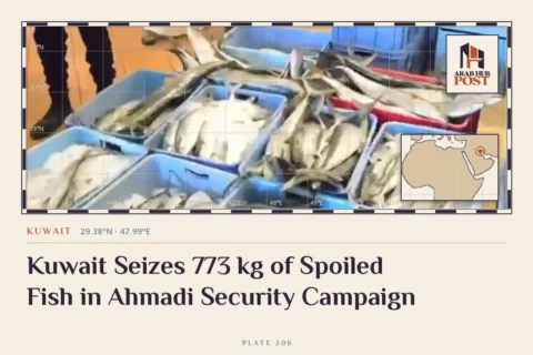 Kuwait Seizes 773 kg of Spoiled Fish in Ahmadi Security Campaign