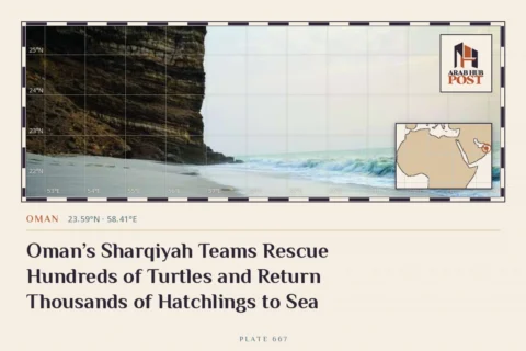 Oman’s Sharqiyah Teams Rescue Hundreds of Turtles and Return Thousands of Hatchlings to Sea